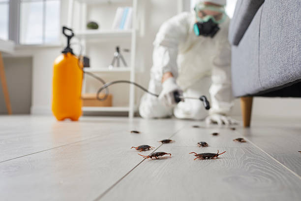 Post-Treatment Bed Bug Interceptor Monitoring in Florida Gulf Coast University